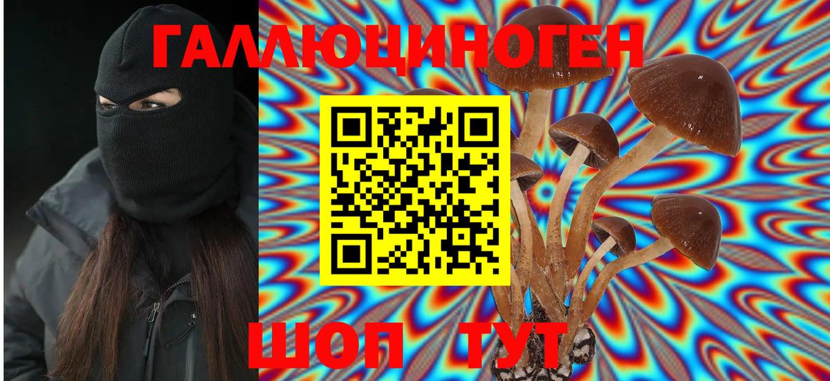 Галлюциногенные грибы Psilocybe  где купить наркоту  Качканар  Вход с VPN  Псилоцибиновые грибы Psilocybe 