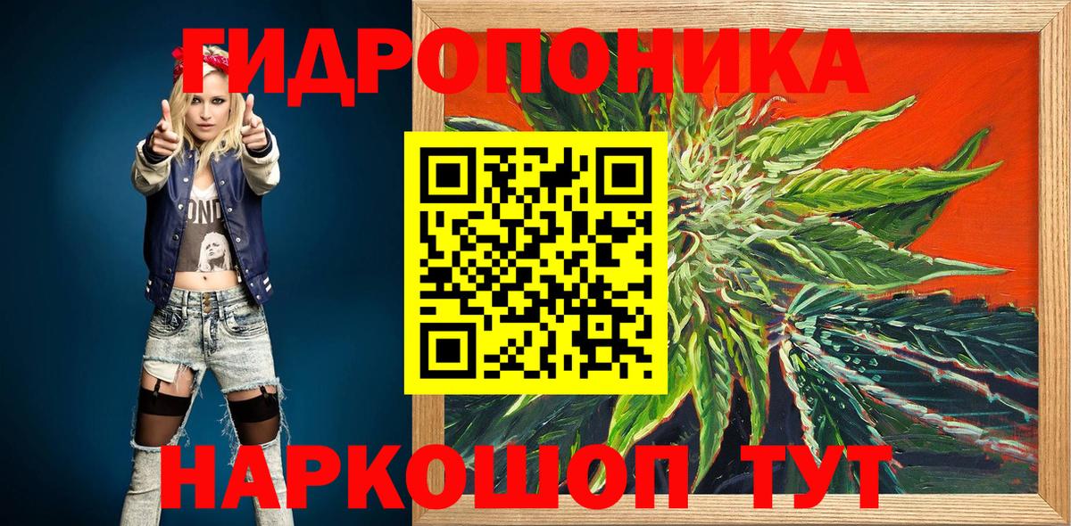 Бошки марихуана индика Качканар